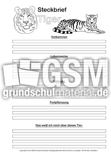 Tiger-Steckbriefvorlage-sw-2.pdf